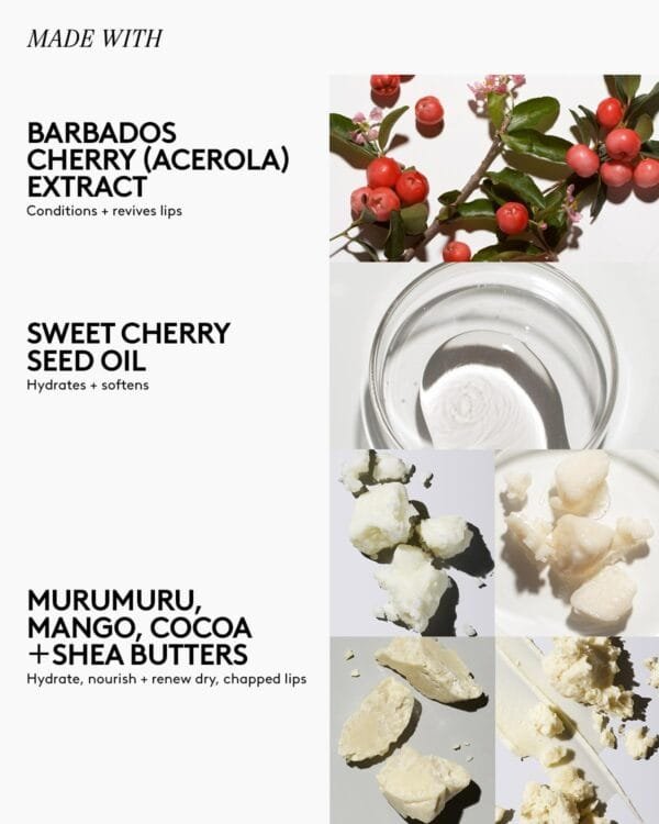 LUX BALM ULTRA-HYDRATING CHERRY LIP BALM WITH BARBADOS CHERRY + VITAMIN E - Image 5